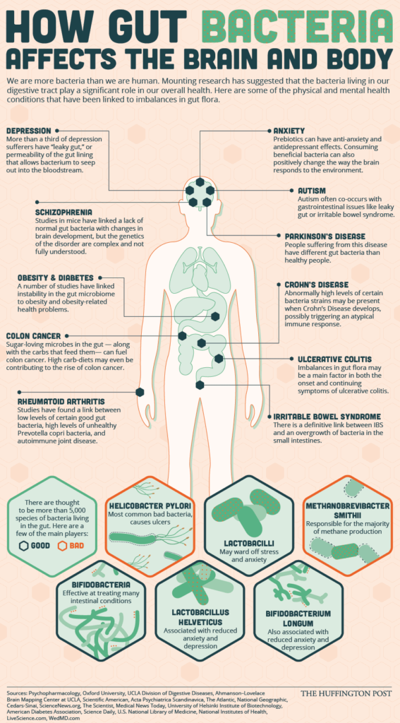 gut bacteria and mental health infographic