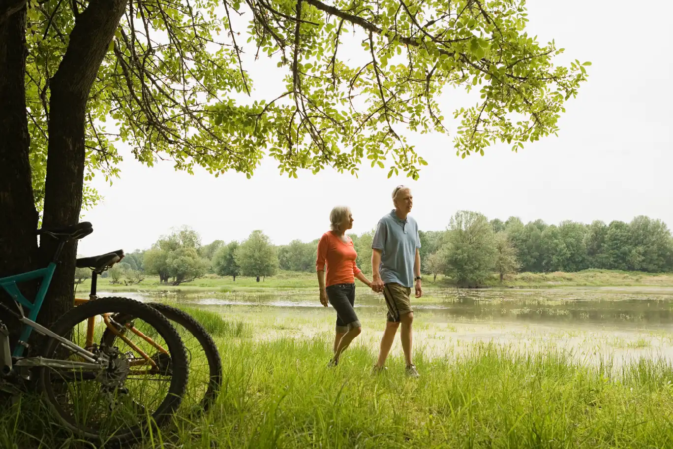 how many steps a day should you walk